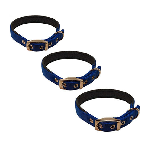 Nylon Padded Collar (Blue)