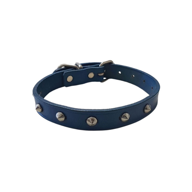 Leather Studded Collar (Blue)