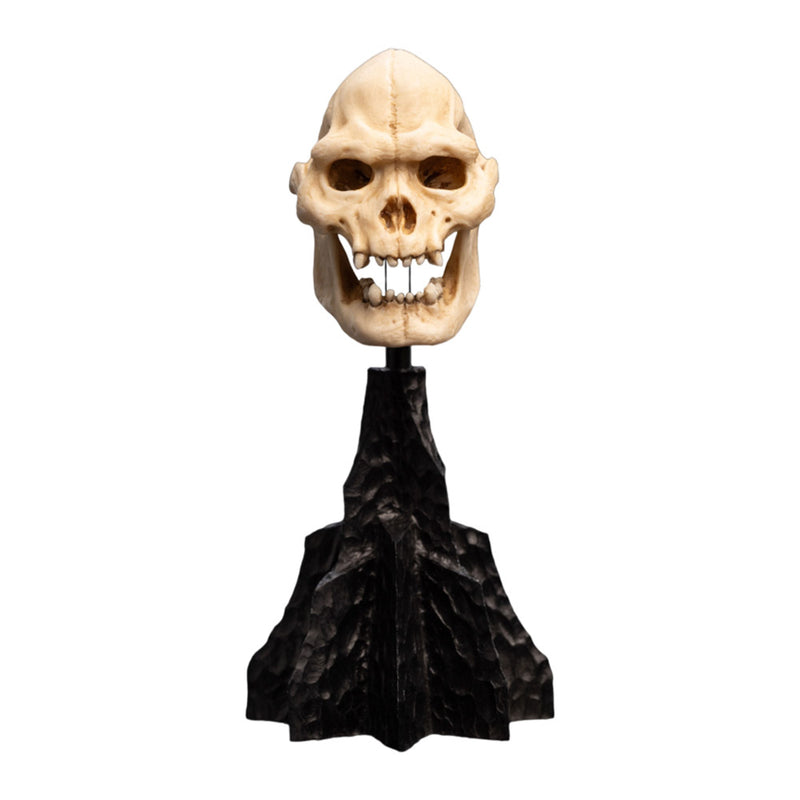 The Lord of the Rings Skull of Lurtz Miniature