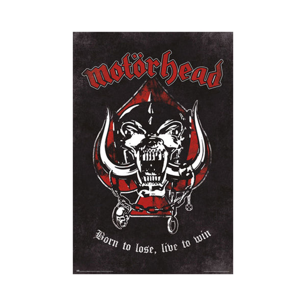 Motorhead Born to Lose Poster (61x91.5cm)