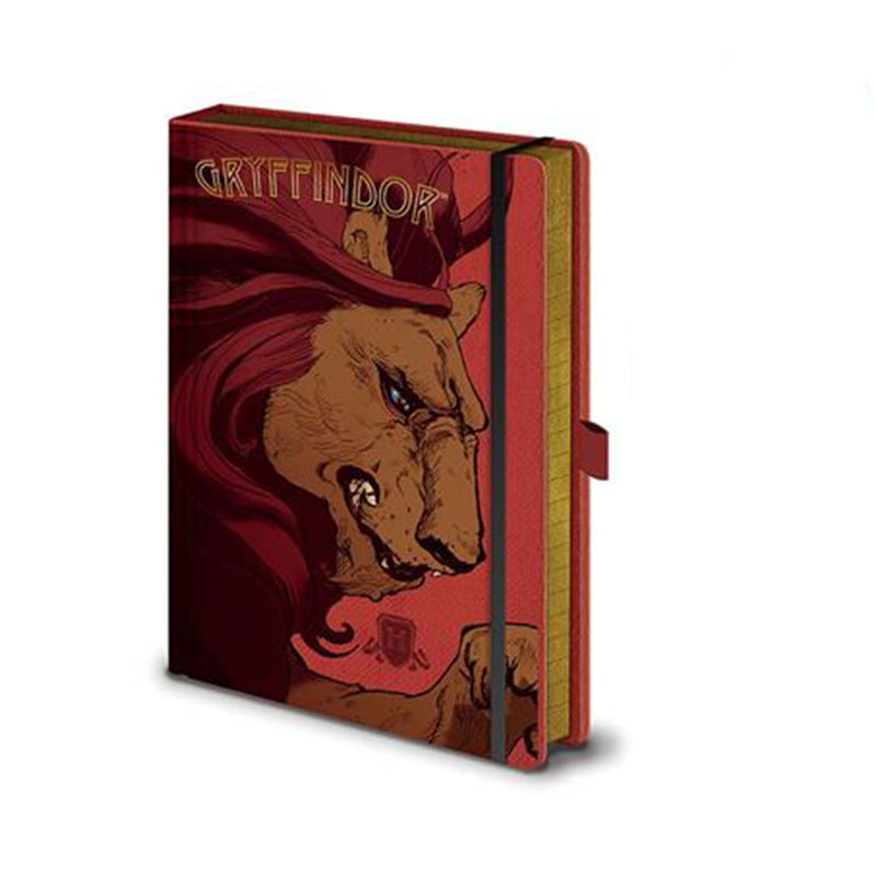 Harry Potter ingewikkelde huizen a5 premium notebook