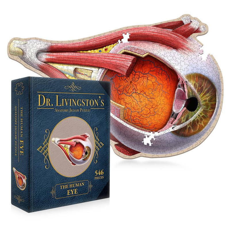 Puzzle d'anatomie du Dr Livingston