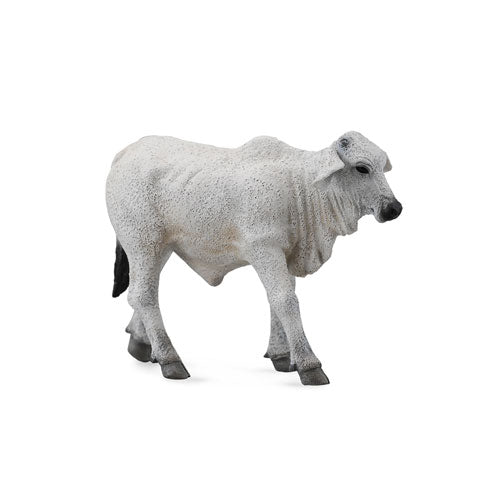 CollectA Brahman Calf Figure (Small)