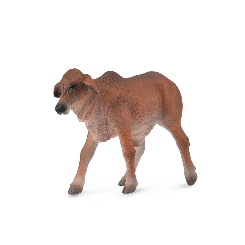 Figure de veau Brahman Collecta (Small)