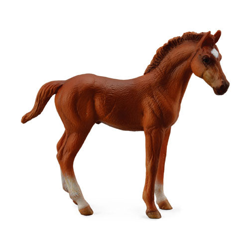 CollectA Thoroughbred Foal Chestnut (Medium)