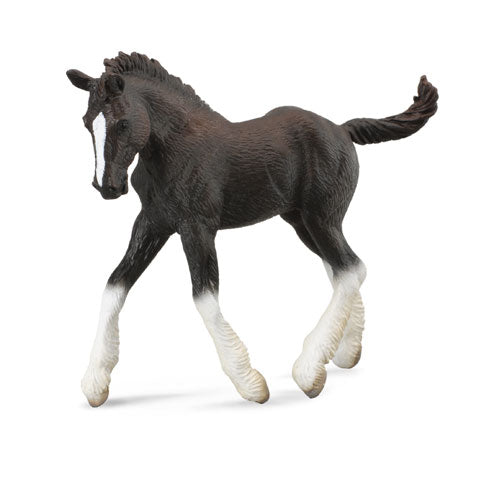 CollectA Shire Horse Foal Figure (Medium)