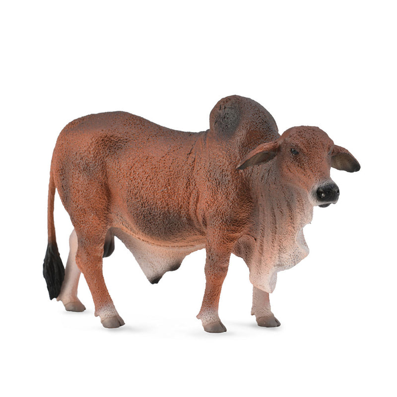 Figure de taureau Brahman Collecta (grand)