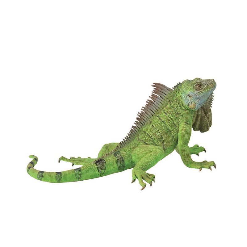 CollectA Iguana Figure (Extra Large)