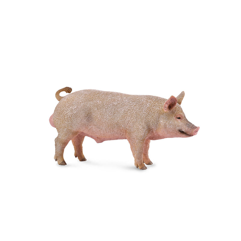 Collecta Pig Figuur (medium)