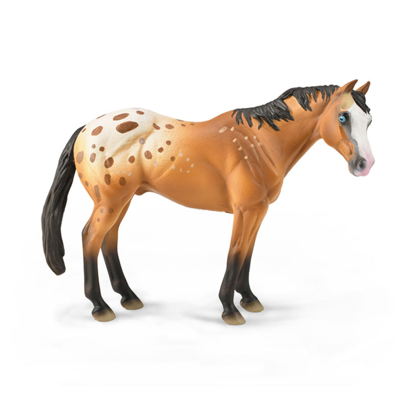 Collecta Appaloosa Stallion Figuur (XL)