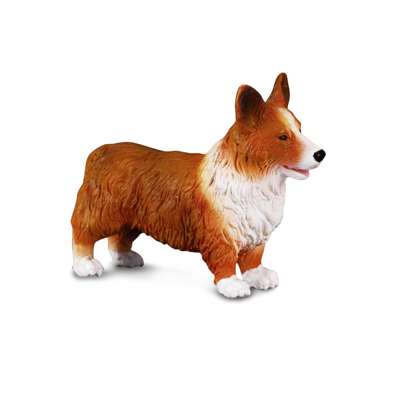 CollectA Welsh Corgi Figure (Medium)