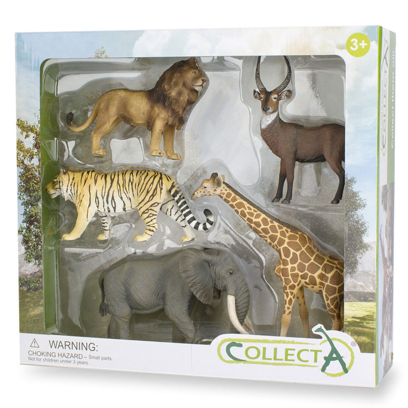 Collecta Wild Life 5-delige cadeau-set