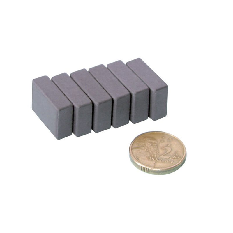 Ferrite Magnets 6pcs (20x15x5mm)