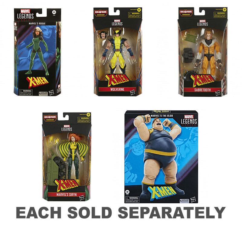 Marvel Legends Series X-Men Action Figure