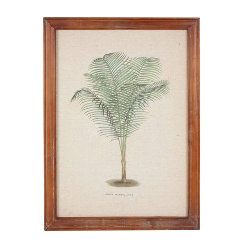 Ingelijste vintage palmwandkunst (38x52x1.8cm)