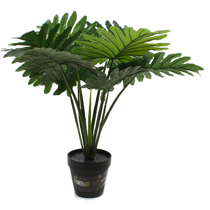 Plant in pot 60 cm