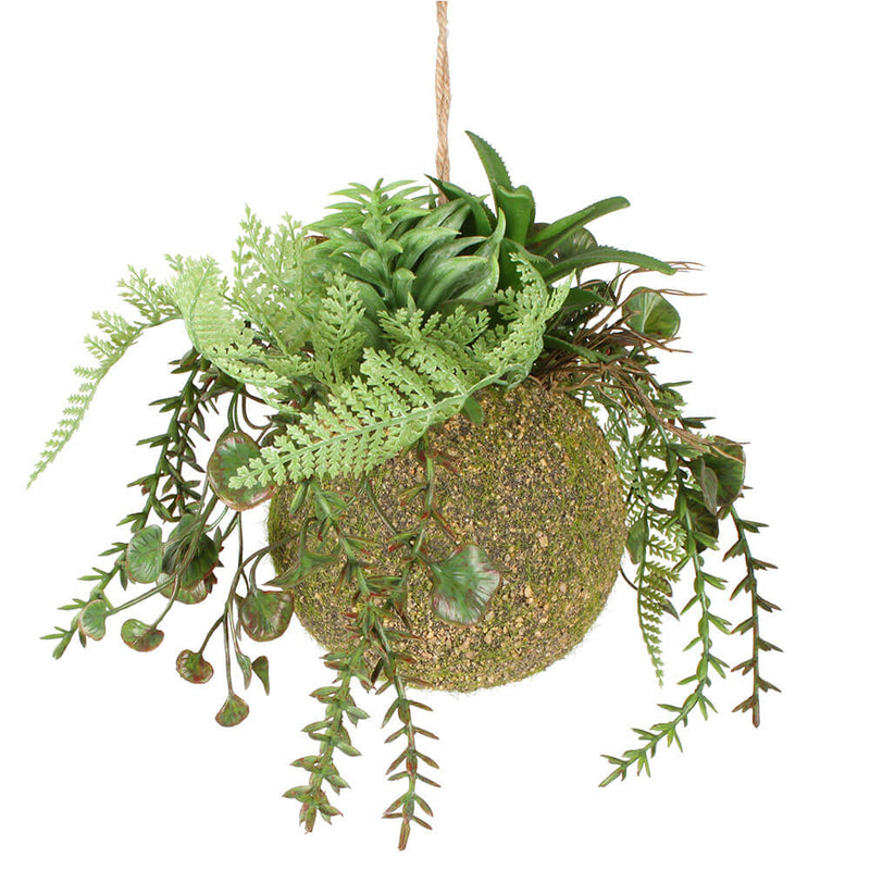 Moana kokedama gemengd hangen