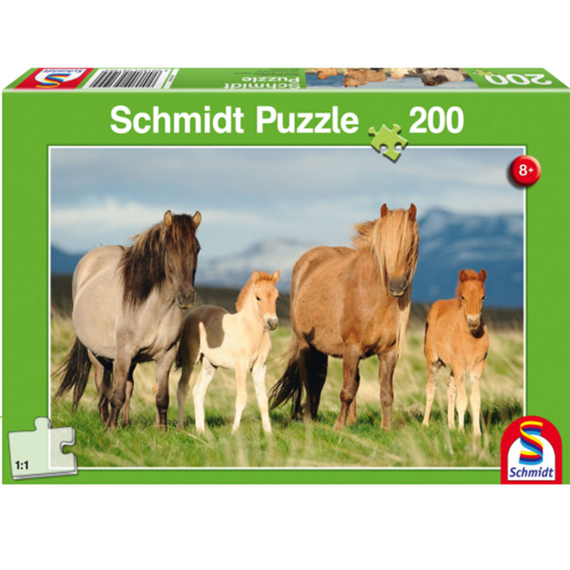 Schmidt Puzzle du Jigsaw 200pcs