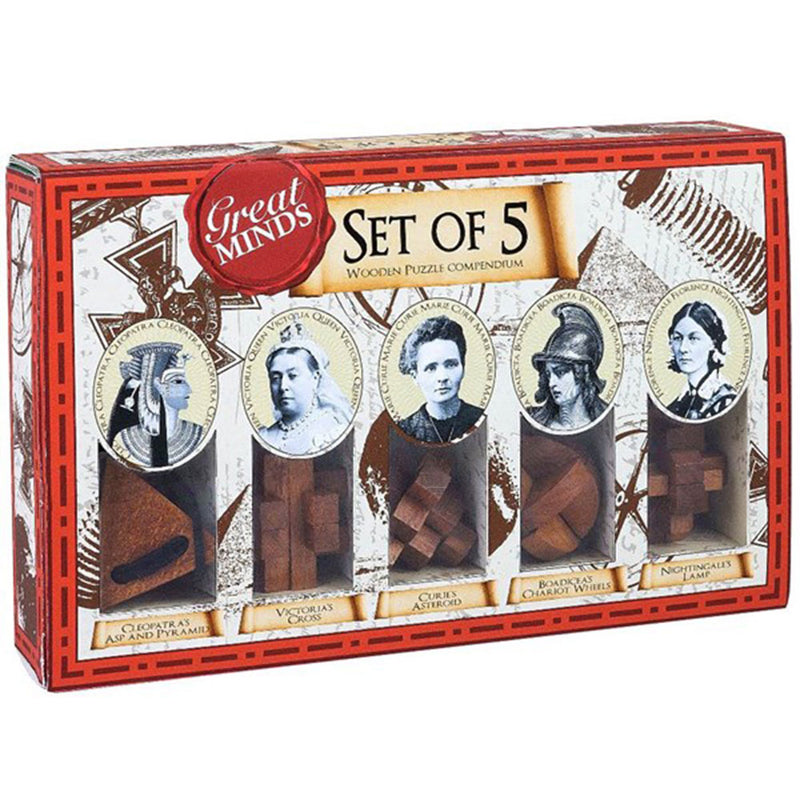 Great Minds Wood & Metal Brauteaser Puzzle 5pcs